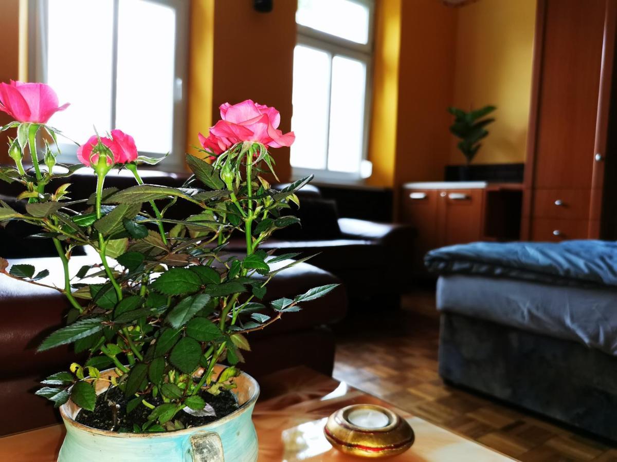 Lehel Apartman Keszthely Zewnętrze zdjęcie
